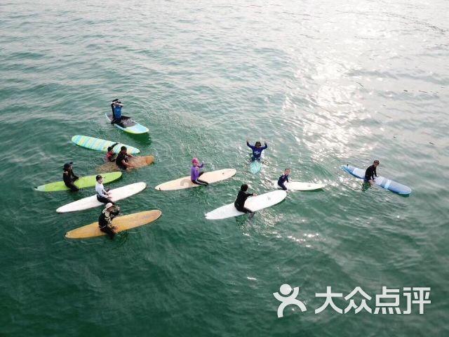 拯救精灵的土地7