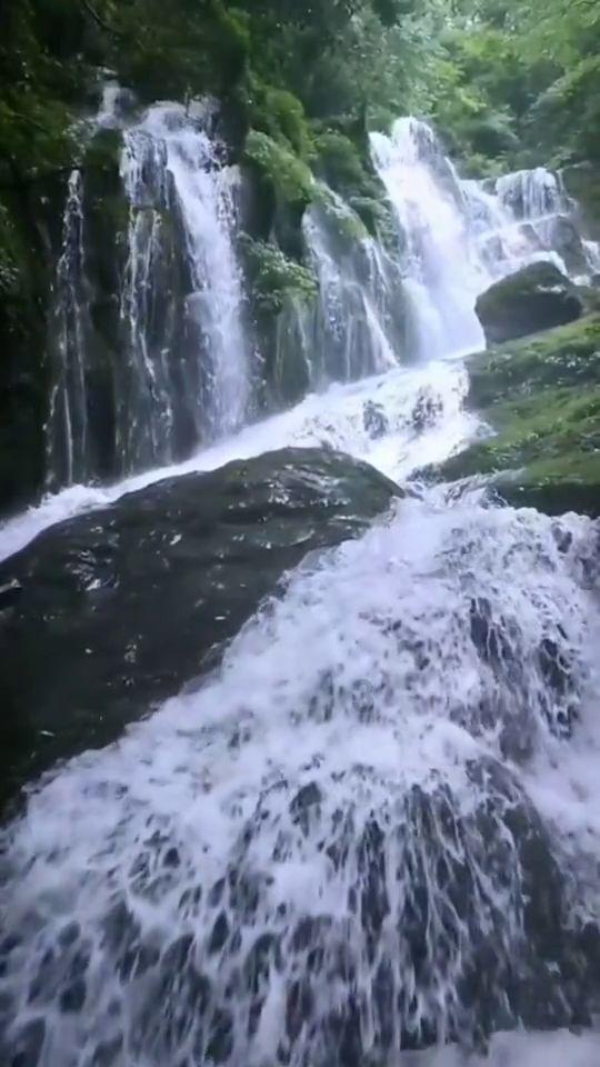 花瓶粉碎者